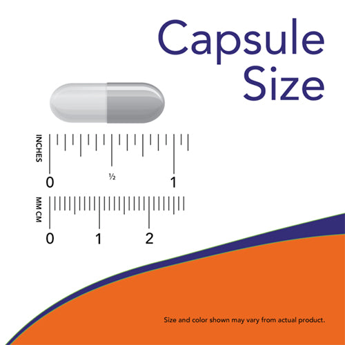 NOW L-Carnosin 500mg