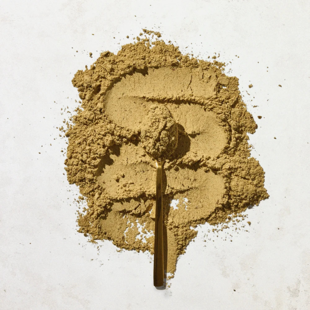 Aduna Good Gut Superfood Blend