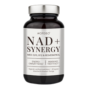 NORDBO NAD+ Synergy